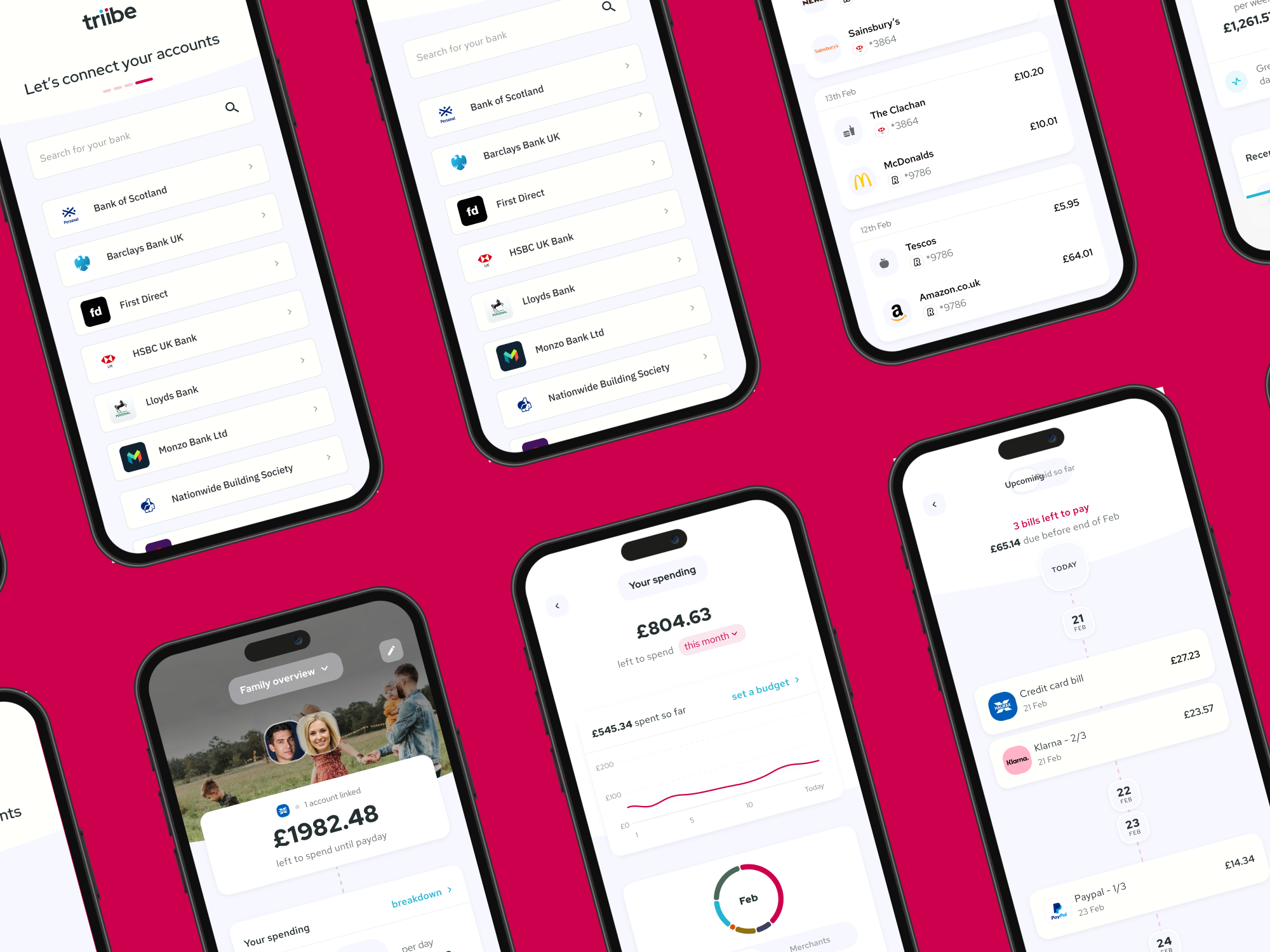 Triibe — project preview